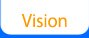 Vision